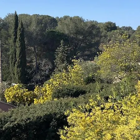 St Raphaël 37m2, Piscine, Wifi, Commerces 5mn à Pieds *