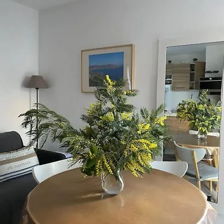 St Raphael 37m2, Piscine, Wifi, Commerces 5mn A Pieds Apartamento