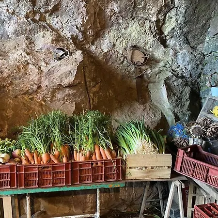 St Raphael 37m2, Piscine, Wifi, Commerces 5mn A Pieds Apartamento *