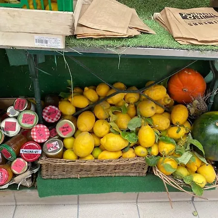 Apartamento St Raphael 37m2, Piscine, Wifi, Commerces 5mn A Pieds