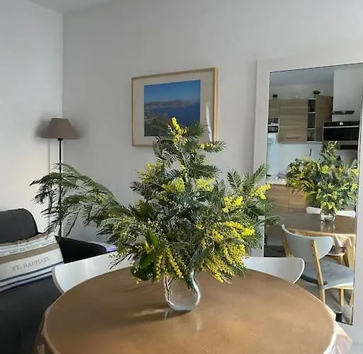 St Raphael 37m2, Piscine, Wifi, Commerces 5mn A Pieds Apartment