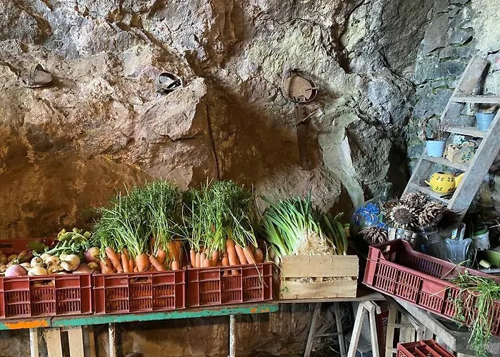 St Raphael 37m2, Piscine, Wifi, Commerces 5mn A Pieds Apartamento *