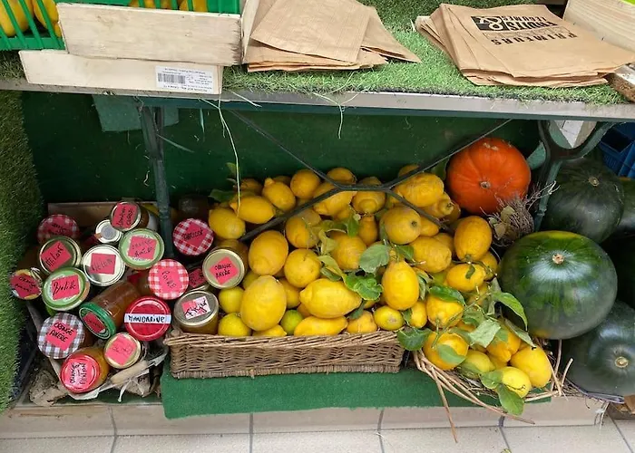 Apartment St Raphael 37m2, Piscine, Wifi, Commerces 5mn A Pieds