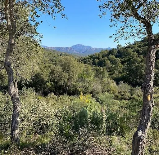 St Raphael 37m2, Piscine, Wifi, Commerces 5mn A Pieds Saint-Raphaël