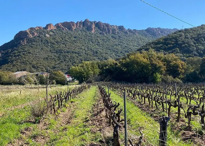 St Raphael 37m2, Piscine, Wifi, Commerces 5mn A Pieds *