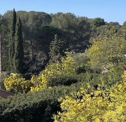 St Raphael 37m2, Piscine, Wifi, Commerces 5mn A Pieds *